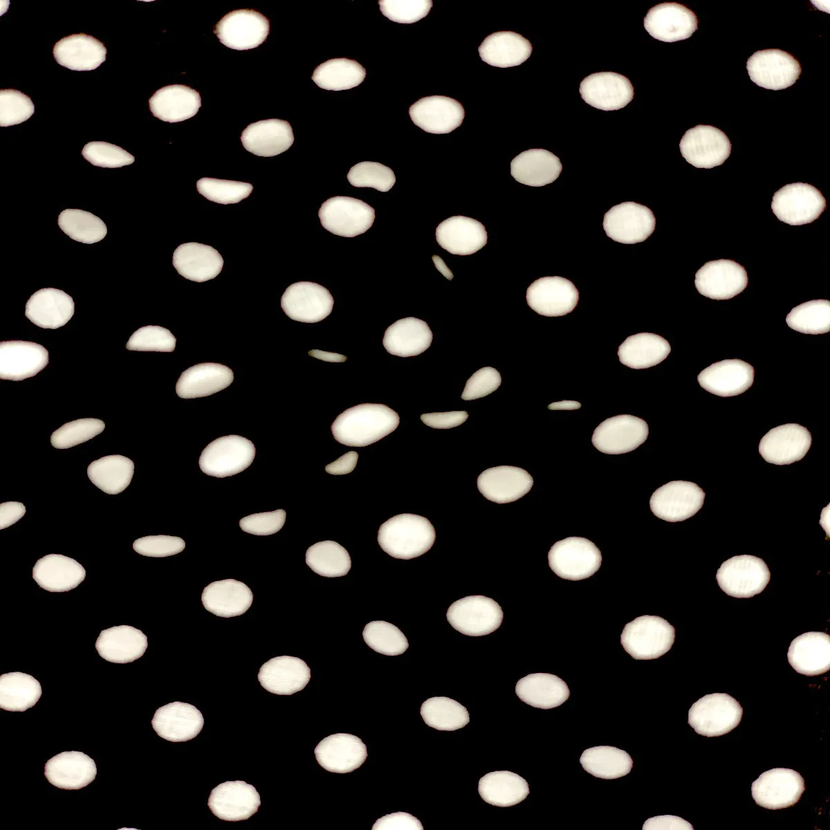 Black White Mini Polka Dot Poly Cotton Fabric