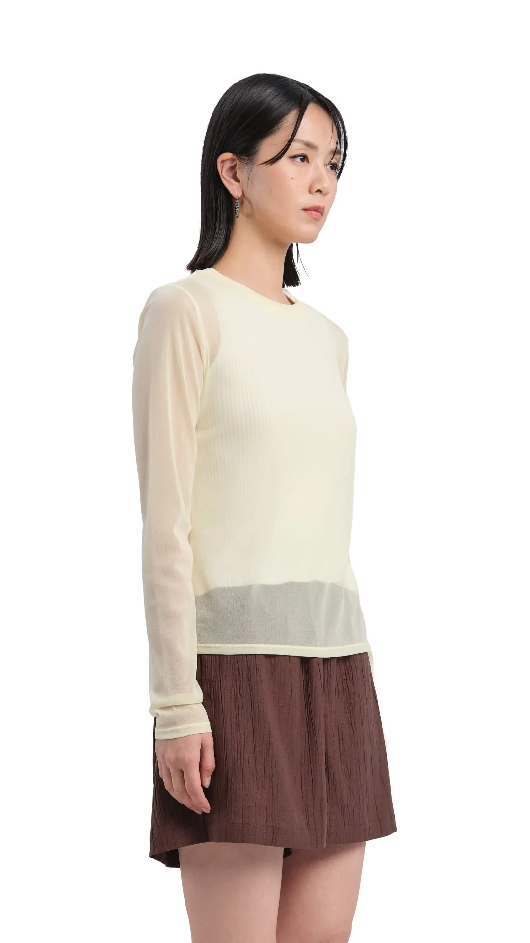 Mock-neck Sheer Top