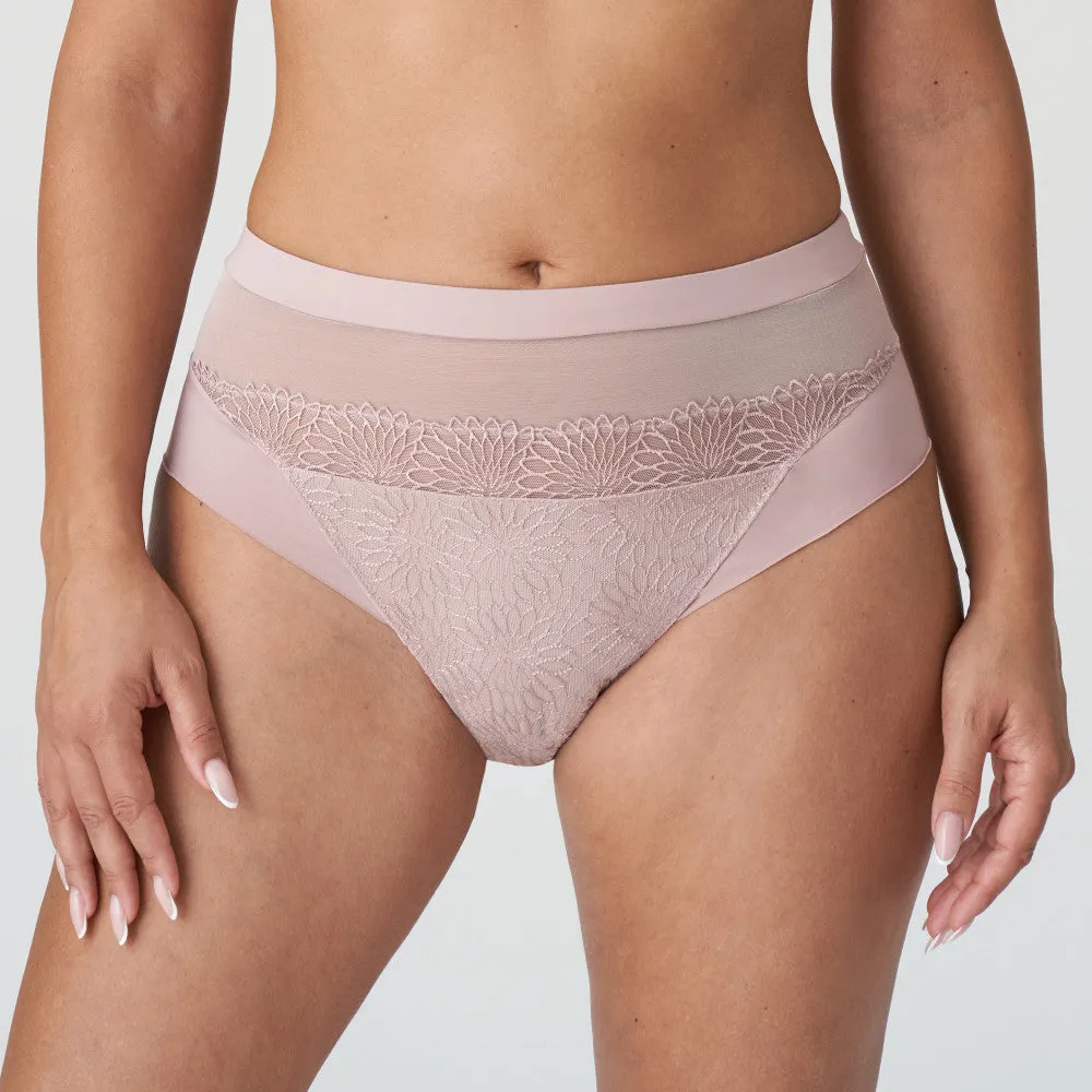 Sophora Full Brief